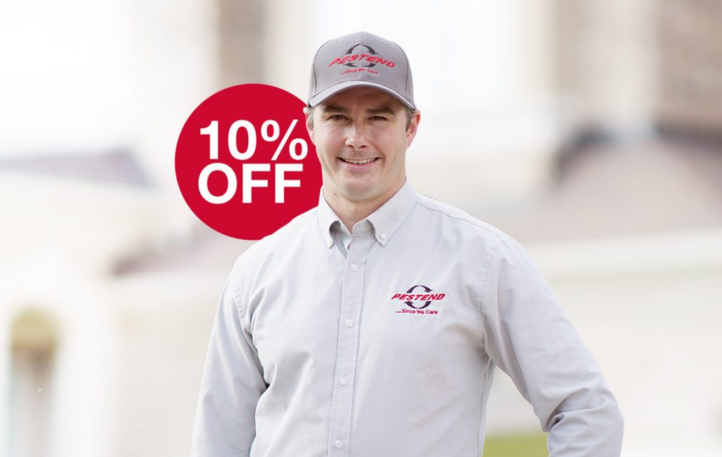 10% Off Bed Bug Extermination Sale In Ottawa
