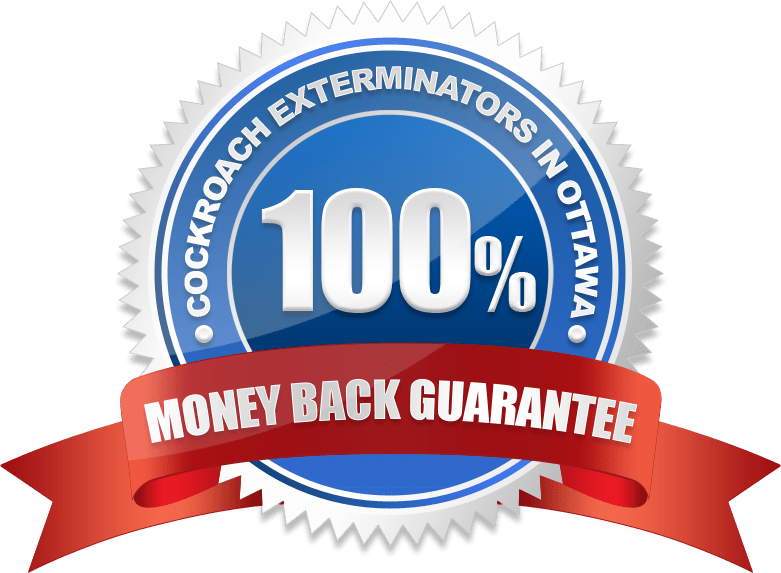 100% Money Back Guarantee Cockroach Exterminators In Ottawa