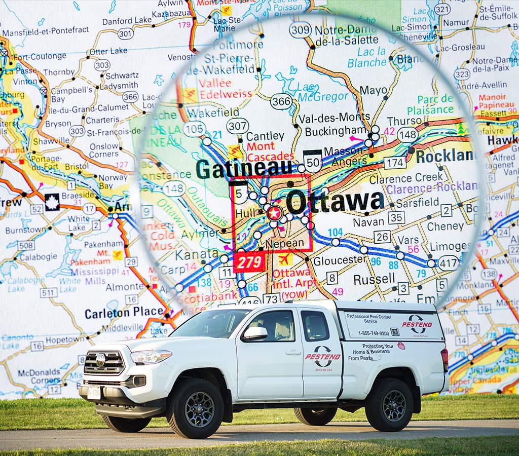 Locations Served Pest Control In Ottawa
