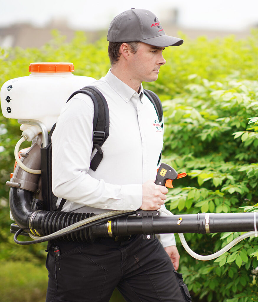 Mosquito Fogging And Spraying Services Ottawa