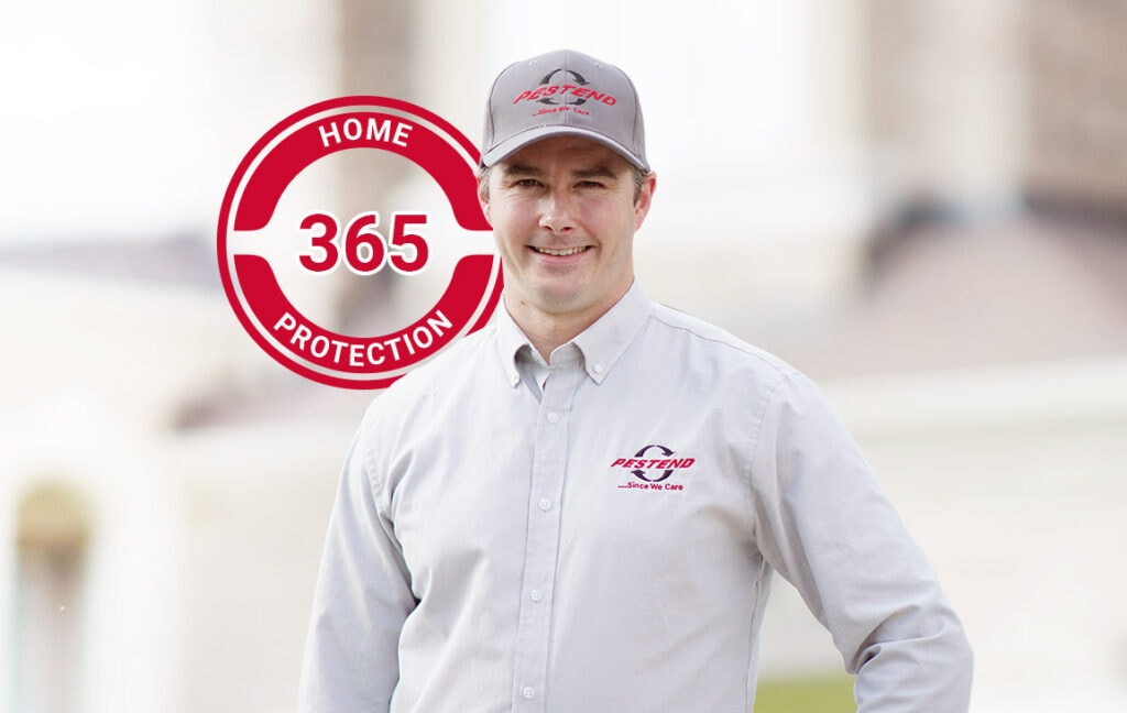 Pestend Control Home Protection 365 Ottawa