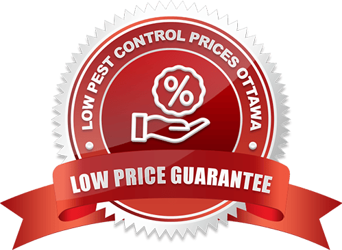 Lowest Prices Pest Control for Restaurant in Ottawa